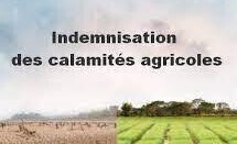 calamités agricoles